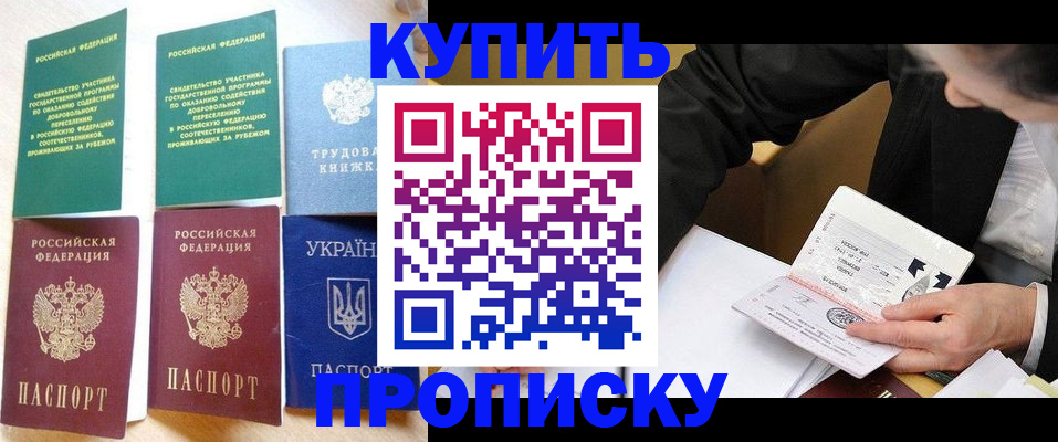прописка для школы в Армавире